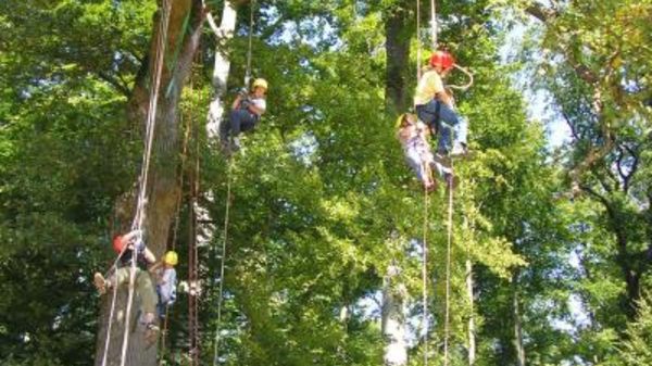 B15 Waldschulheim Kloster Schöntal ForstBW
