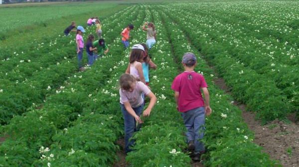L02 Bauernhof Göhring
