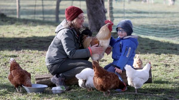 L02 Bauernhof Göhring