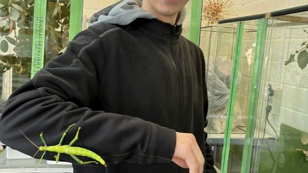 B18 Grüne Schule Luisenpark Mannheim