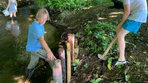 S11 Stadt Freiburg - Gewässerökologie und Bachpaten