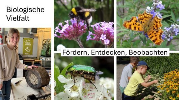 B18 Grüne Schule Luisenpark Mannheim