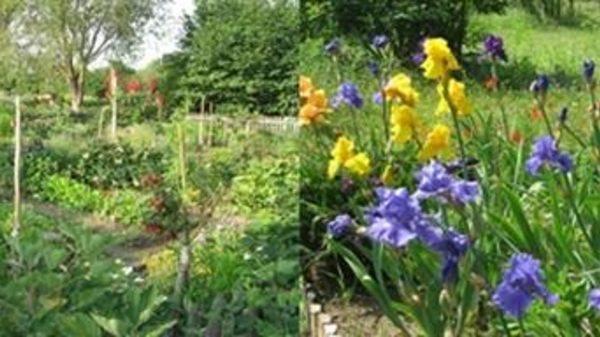 L11 Zentraler Mannheimer Lehrgarten