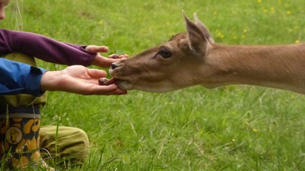 B06 CircArtive Haus - Hof - Pimparello