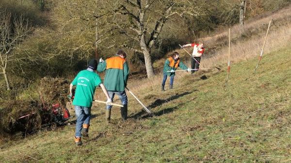 S06 Landschaftspflegetrupp Regierungspräsidium Karlsruhe