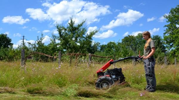 N05 Trinationales Umweltzentrum TRUZ