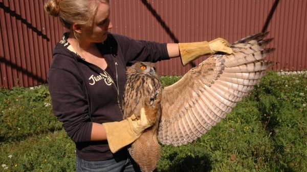 N01 NABU-Vogelschutzzentrum Mössingen