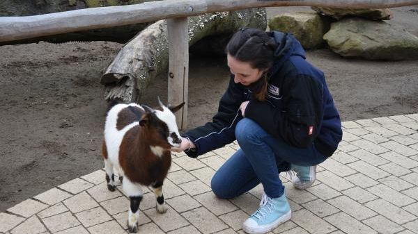 B07 Tiergarten Heidelberg gGbmH - Zoo-Akademie