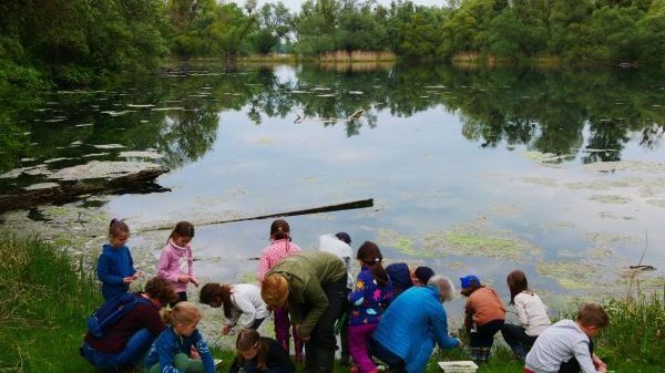S07 Ökomobil - RP Karlsruhe