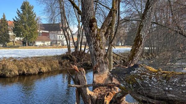 S05 GVV Donaueschingen - Umweltbüro