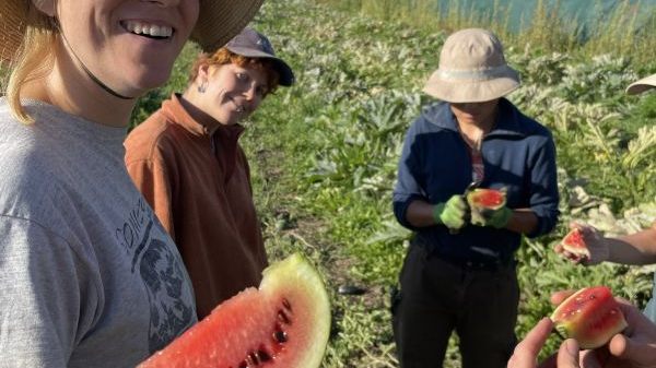 L16 SoLaWi Luzernenhof