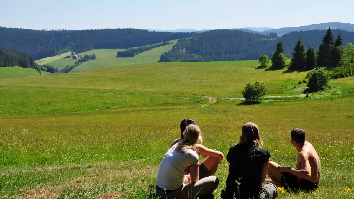 FÖJ Seminar. Foto: foej-bw.de
