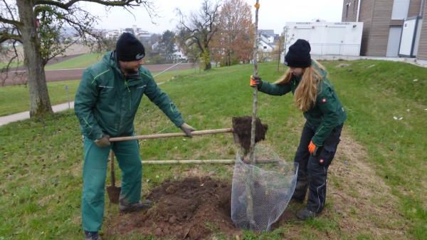 S03 Stadt Leinfelden-Echterdingen - Amt für Umwelt, Grünflächen und Tiefbau