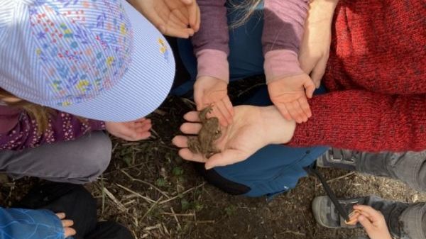 V02 BUND Regionalverband Mittlerer Oberrhein