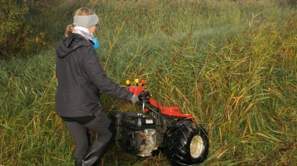 N14 BUND Naturschutzzentrum Westlicher Hegau
