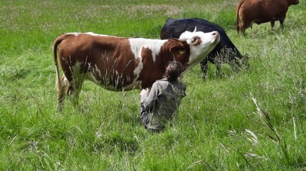 L06 Biohof u. Schullandheim Tannenburg