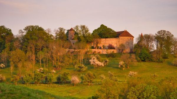 L06 Biohof u. Schullandheim Tannenburg