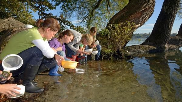 B10 Gärtnern für Alle gGmbH - Grüne Schule Mainau - Pro Integration