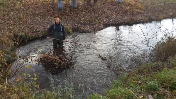 S17 Stadt Radolfzell - Abteilung Umwelt und Naturschutz