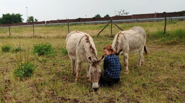 V07 Stiftung Naturschutz