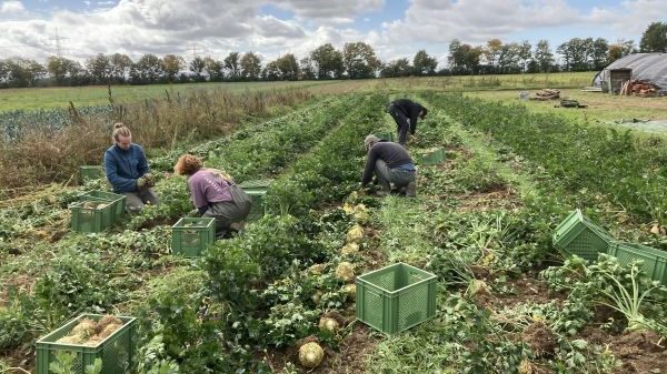 L16 SoLaWi Luzernenhof