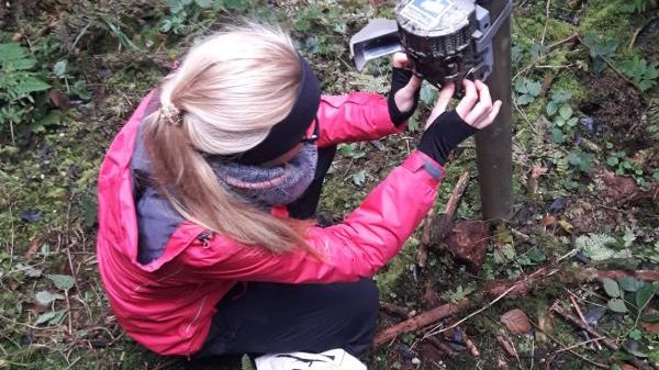 S14 LAZBW - Wildforschungsstelle