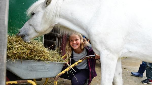 B05 Jugendfarm Filderstadt