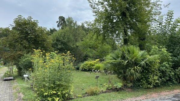 S19 Botanischer Garten der Universität Konstanz