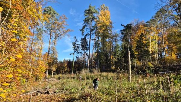 S01 Stadt Friedrichshafen - Abteilung Landschaftsplanung und Umwelt