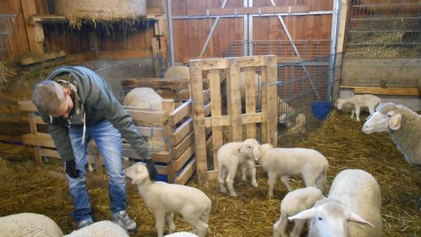 S03 Stadt Leinfelden-Echterdingen - Amt für Umwelt, Grünflächen und Tiefbau