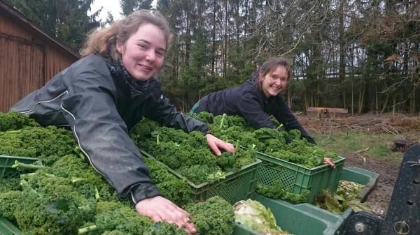 L10 Bioland-Gemüsegärtnerei Eulenhof GbR