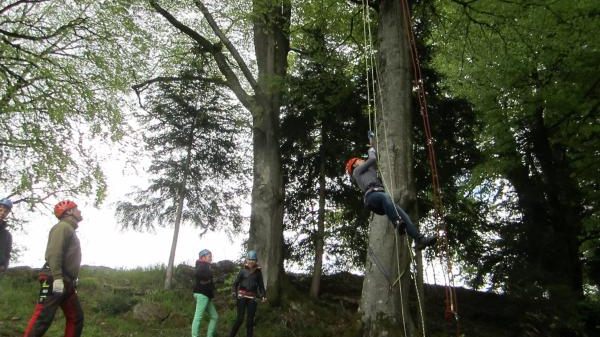 B14 Waldschulheim Burg Hornberg ForstBW