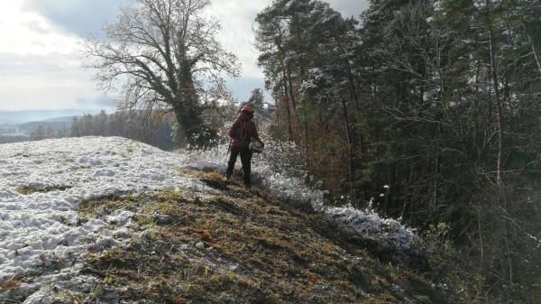 N14 BUND Naturschutzzentrum Westlicher Hegau