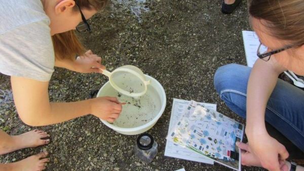 N09 Naturschutzzentrum Karlsruhe-Rappenwört