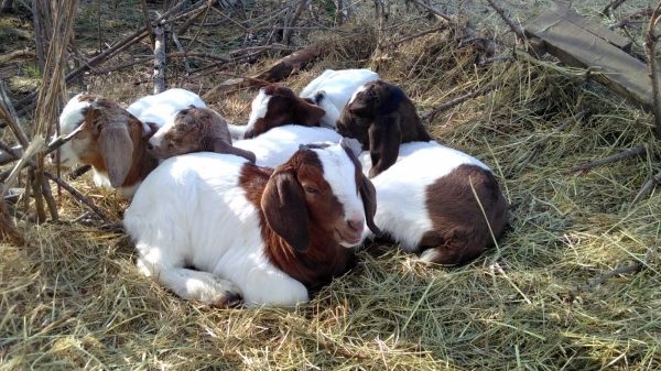 V07 Stiftung Naturschutz