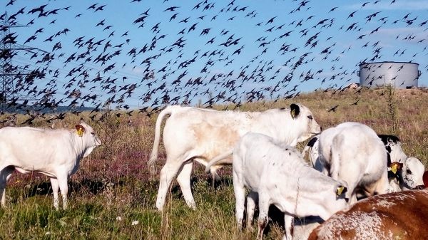 V07 Stiftung Naturschutz