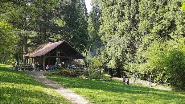 B04 WaldHaus Freiburg