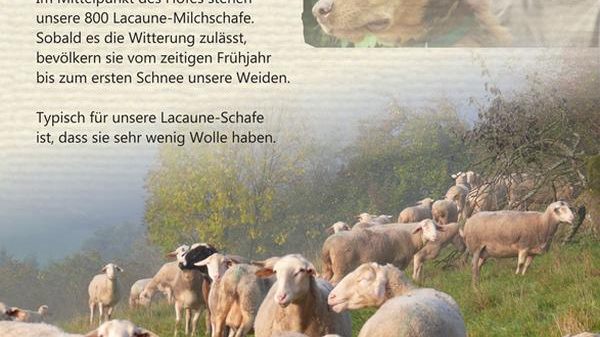 L04 Milchschafhof GbR