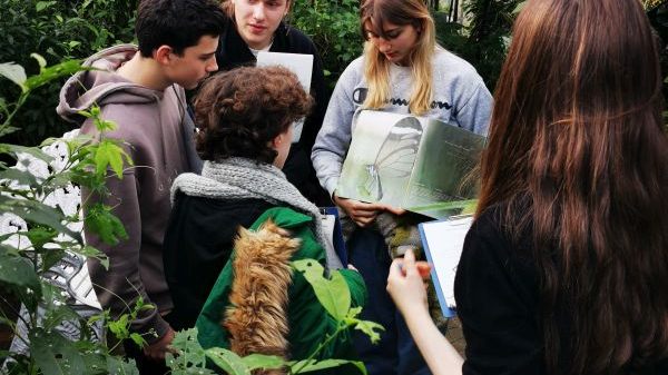 B10 Gärtnern für Alle gGmbH - Grüne Schule Mainau - Pro Integration