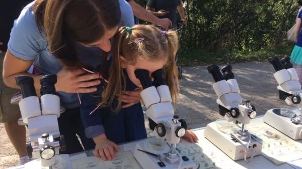 S11 Stadt Freiburg - Gewässerökologie und Bachpaten
