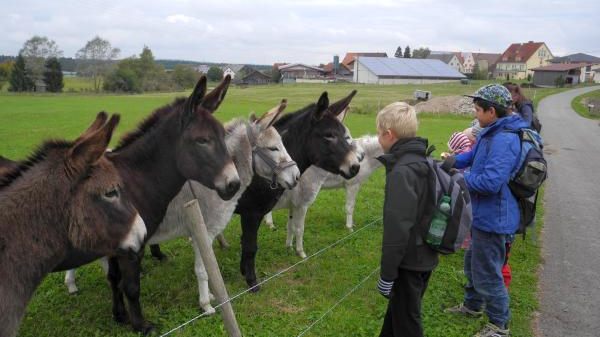 S05 GVV Donaueschingen - Umweltbüro