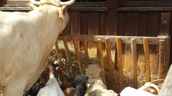 S02 Gemeinde Unterkirnach