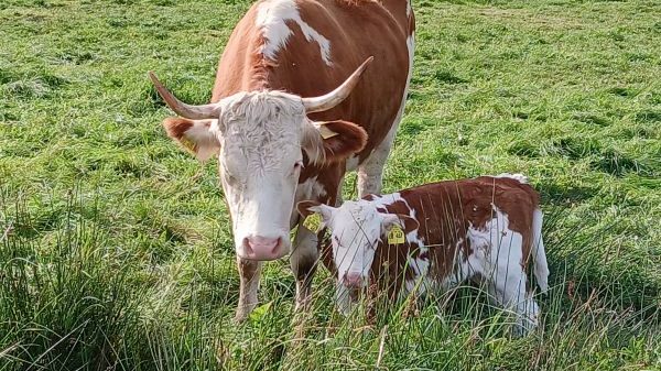 L01 Jugendhilfe Hoffmannhaus