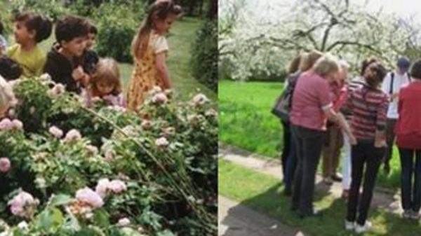 L11 Zentraler Mannheimer Lehrgarten