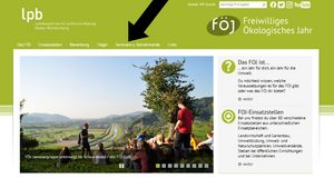 Der Pfeil zeigt auf die verschiedenen Bereiche der Internet·seite über dem großen Bild.