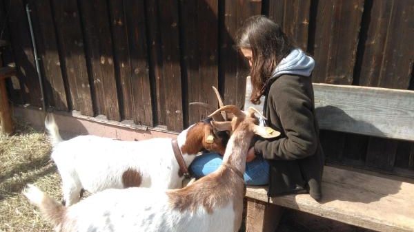 S02 Gemeinde Unterkirnach