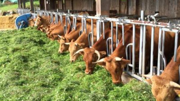 L03 Wacholderhof e.V.