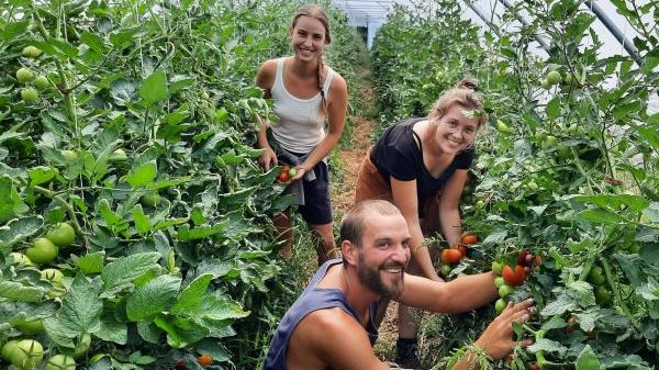 L10 Bioland-Gemüsegärtnerei Eulenhof GbR