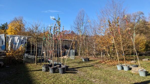 S01 Stadt Friedrichshafen - Abteilung Landschaftsplanung und Umwelt