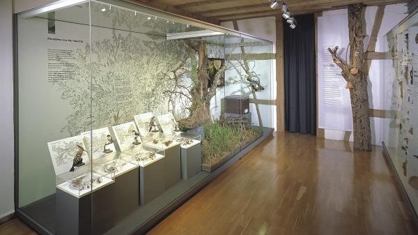 B03 Naturkundemuseum Reutlingen